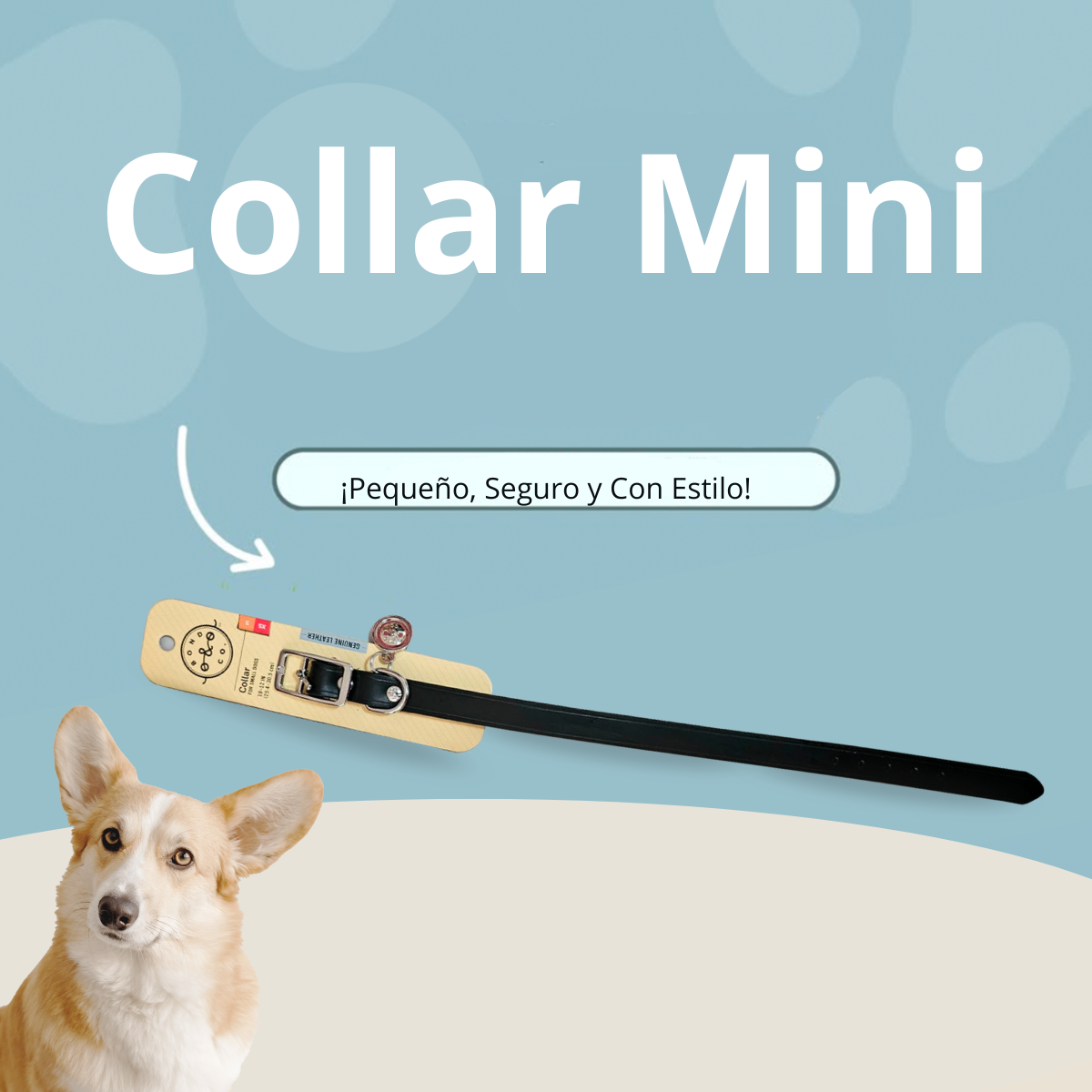 Collar Mini