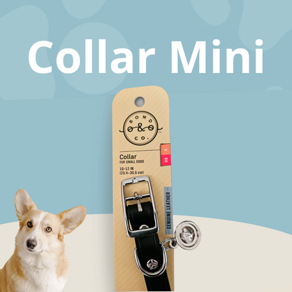 Collar Mini