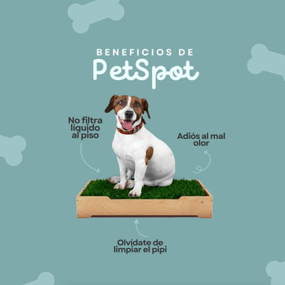 Pet Spot